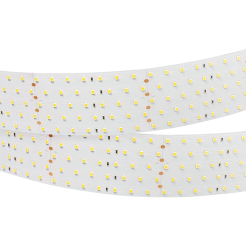 Лента светодиодная RT 2-2500 24V Day4000 5x2 (2835, 875 LED, LUX) (Arlight, 36 Вт/м, IP20)