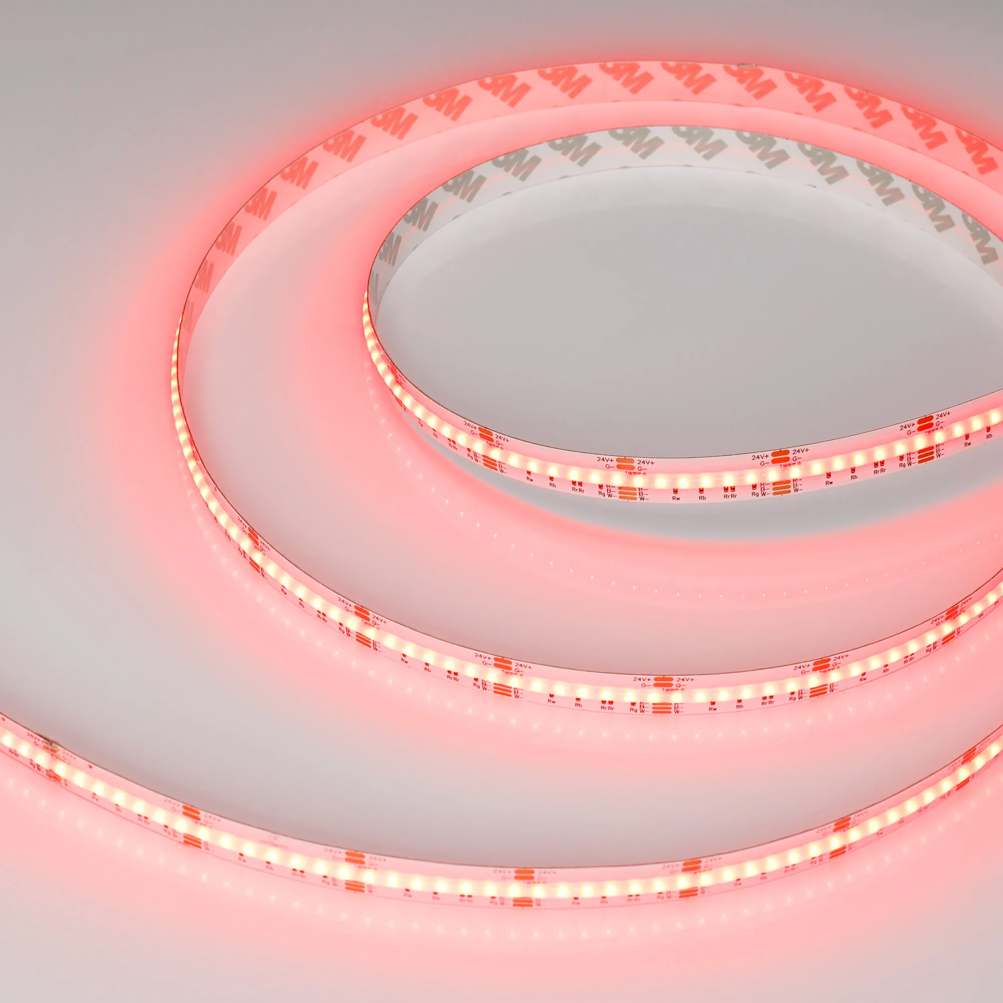 Лента светодиодная CSP-X840-12mm 24V RGBW-Day (17.2 W/m, IP20, 5m)  (Arlight, 5 лет) - изображение товара